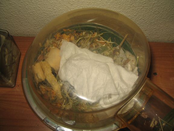 My hamster Lucy's new Mansion Expansion...