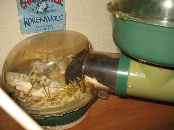 Getting to know my hamster Lucy better by the day...