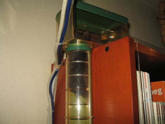 Snack time with my hamster Lucy...