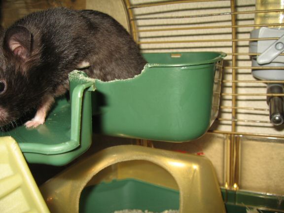 Sniff, Sniff, Grab and Go; by Lucy