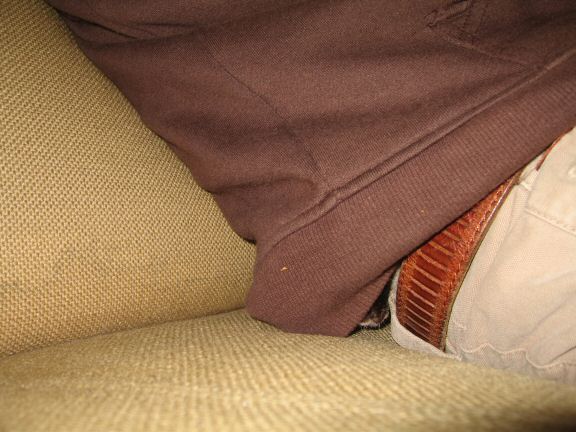 My hamster Lucy on the couch... searching ...