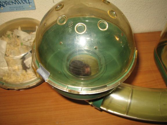 My hamster Lucy on the couch... searching ...