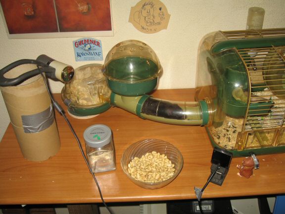 Pine-Seeds for my hamster Lucy