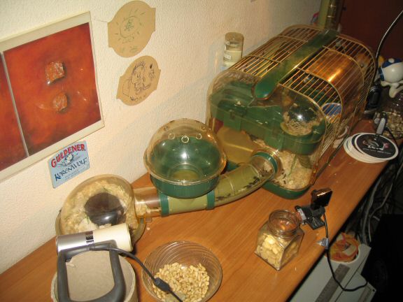 HamsterTracker™-Geekin' 