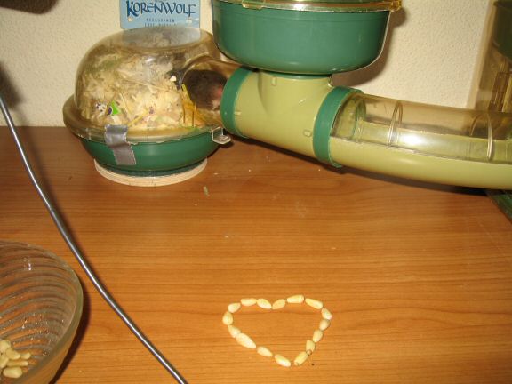 300+ km by my hamster Lucy and Valentines day!