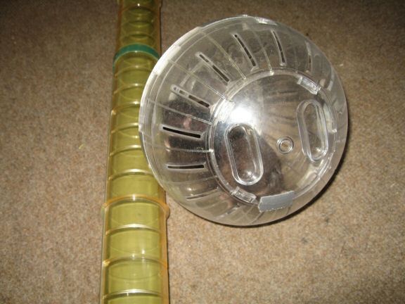 My hamster Lucy's Explorer-Ball Time!.