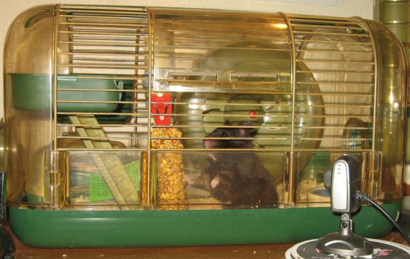 Cage Clean that lead to Sensor Misalignment ...