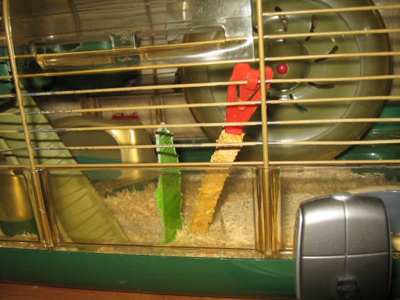 You wouldn't want to be this treat.