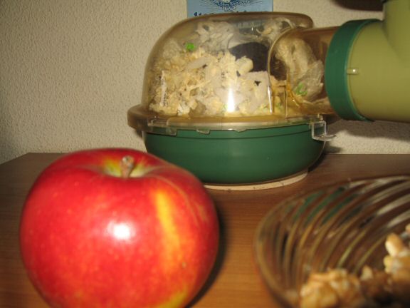 I've made special preparations, for our 200 days together!