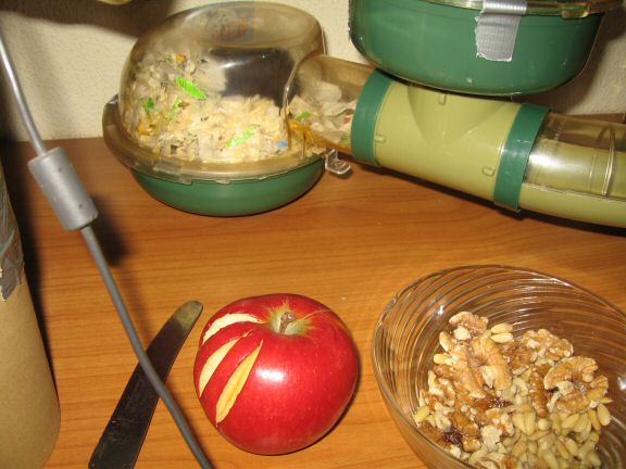 The after party with my hamster Lucy, celebrating our 200 days together!