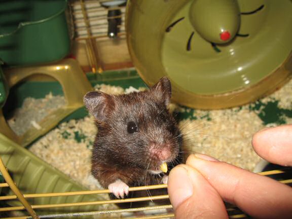 Lucy's *gossip* Update ...