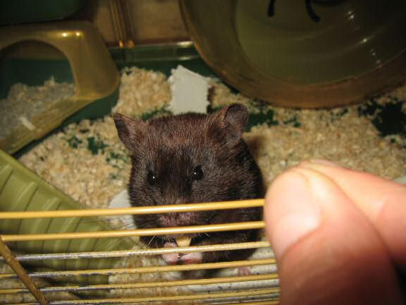 Lucy's *gossip* Update ...