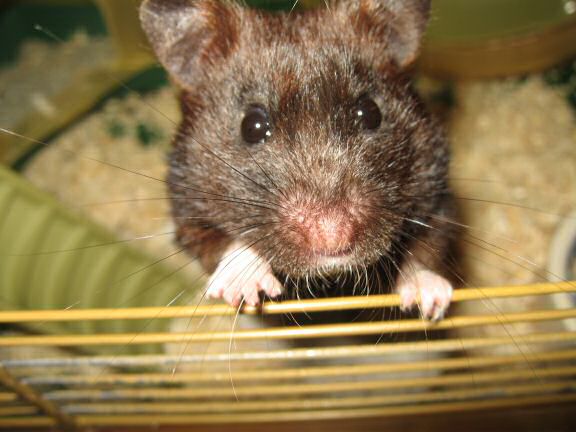 Lucy's *gossip* Update ...