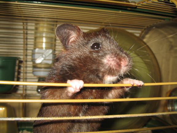 Lucy's *gossip* Update ...