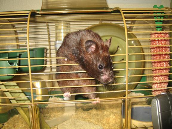 Lucy's *gossip* Update ...