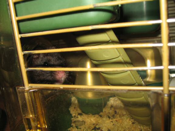 The half full glass ... (es)