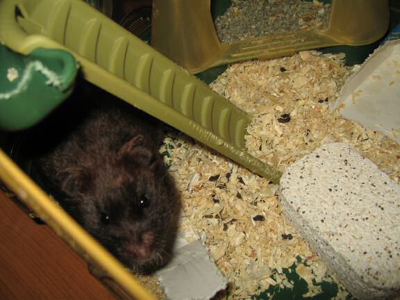 The half full glass ... (es)