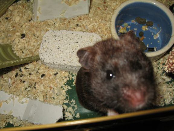 The half full glass ... (es)