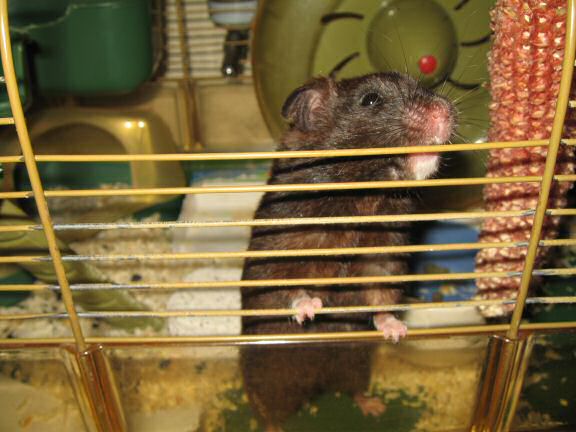 The half full glass ... (es)