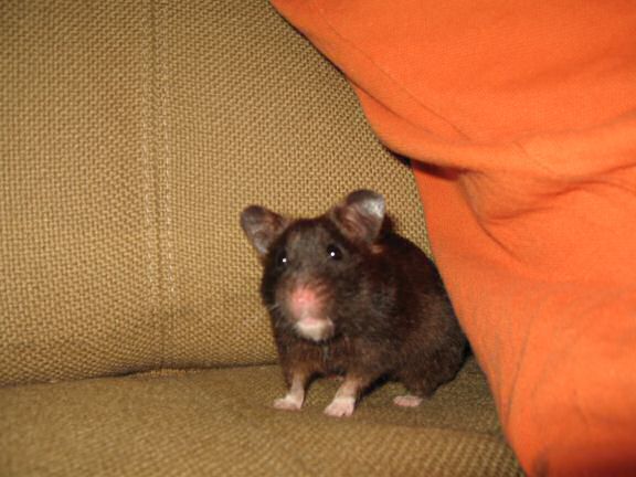 Still full of the half full glass ... (es)