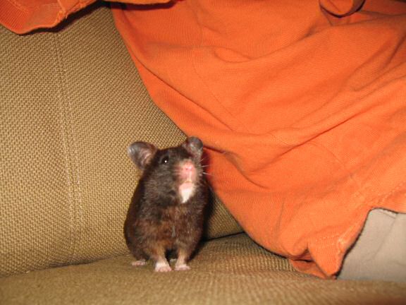 Still full of the half full glass ... (es)