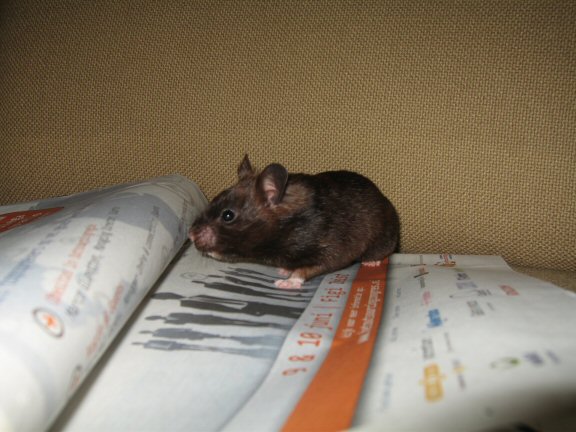 Still full of the half full glass ... (es)