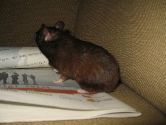 Still full of the half full glass ... (es)