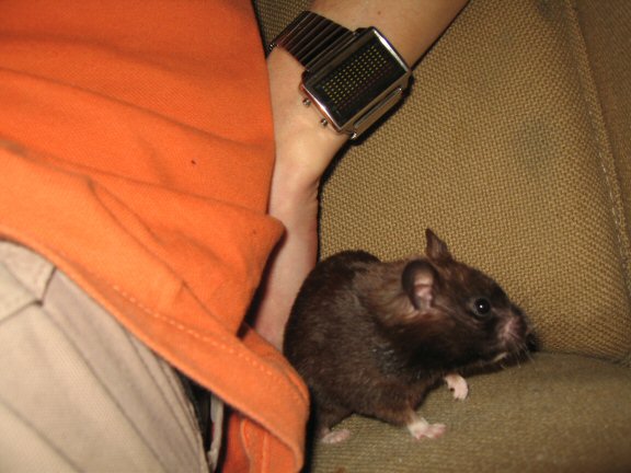 Still full of the half full glass ... (es)