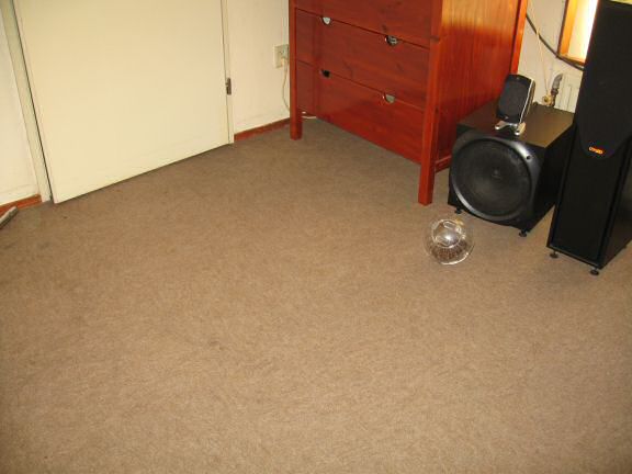 Update from the HamsterTracker Head Office !