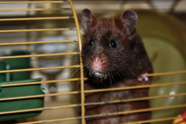 Camera learning/fun with Lucy ...