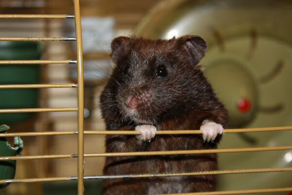 Camera learning/fun with Lucy ...