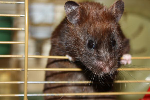 Camera learning/fun with Lucy ...