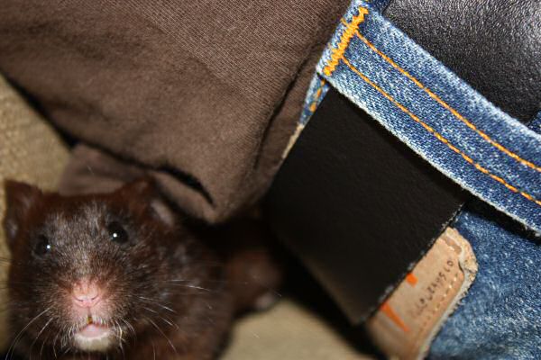 Camera learning/fun with Lucy ...