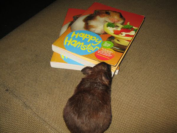 Mathijs = PUBLISHED AUTHOR !!!