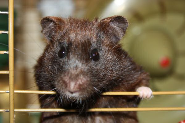 Camera fun; Lucy's Photo Improvement studies