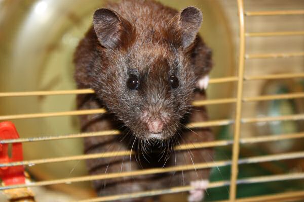 Camera fun; Lucy's Photo Improvement studies