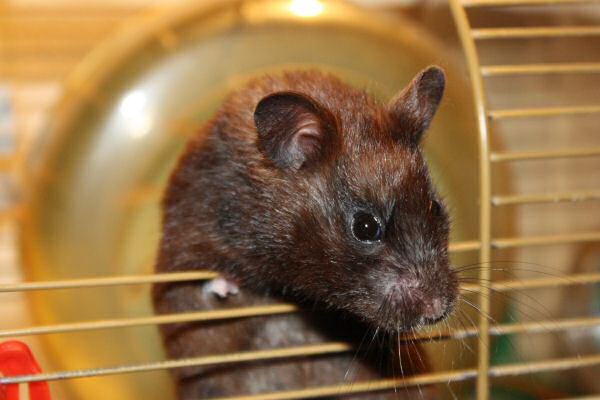 Camera fun; Lucy's Photo Improvement studies