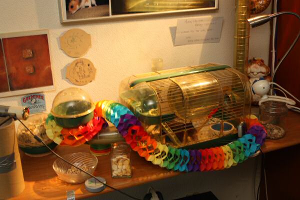 Lucy's, First Year, Anniversery Party!