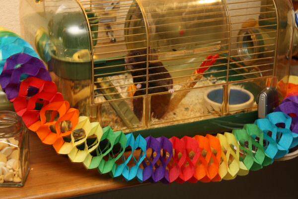 Lucy's, First Year, Anniversery Party!