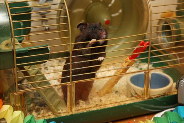 Lucy's, First Year, Anniversery Party!