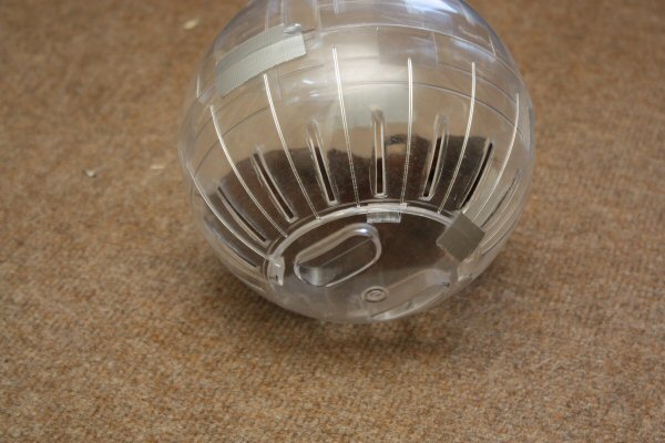 Sharing, with my hamster Lucy.