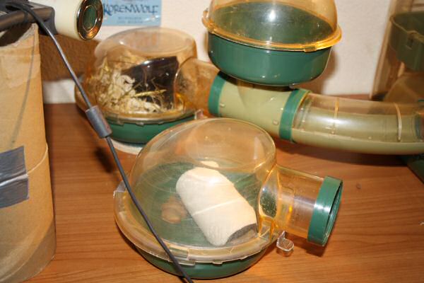 My hamster Lucy's bedroom clean challenge...