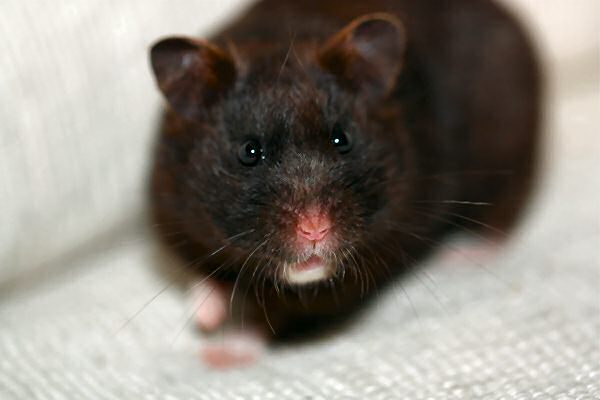 Lucy's outrage on the slow updates...