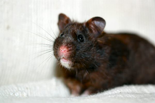 Lucy's outrage on the slow updates...