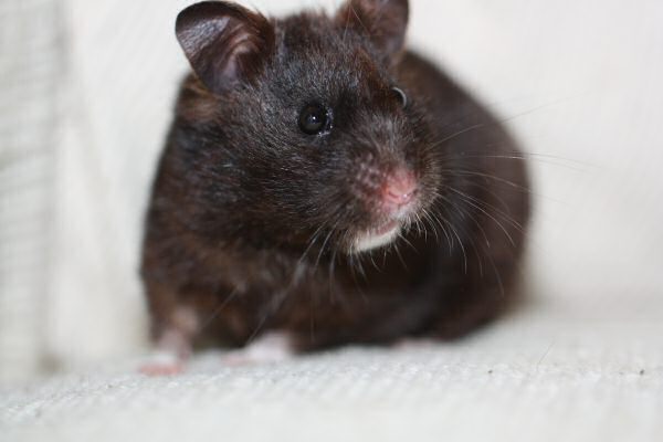 Lucy's outrage on the slow updates...