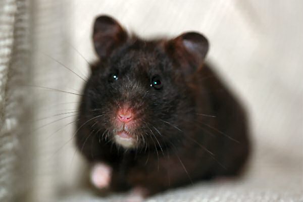 Lucy's outrage on the slow updates...