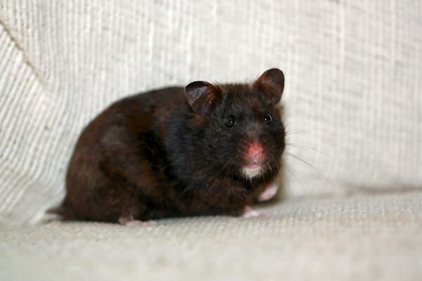 Lucy's outrage on the slow updates...