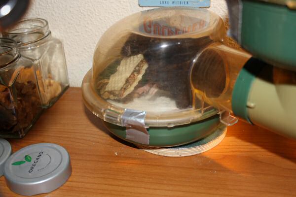 Lucy's, much needed, Bedroom Clean Chores!