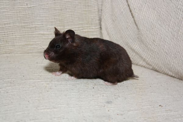 Another Lucy Trick ...