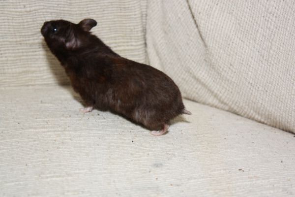 Another Lucy Trick ...